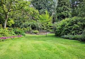 Optimiser l'expérience du jardin à Vievy-le-Raye